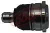 Опора шаровая SUZUKI Swift 05-07 L/R (Япония) 555 SB7562 (фото 1)