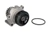 Насос водяной AUDI, SEAT, VW  Ruville 65437 (пр-во INA) 538 0089 10