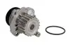 Насос водяной AUDI, SEAT, VW Ruville 65437 INA 538 0089 10 (фото 2)