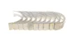 Підшипники ковзання корінні MAHLE MAHLE / KNECHT 029 HS 18067 000 (фото 3)