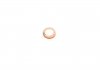 Уплотнительное кольцо, резьбовая пробка ELRING 776.327 (фото 1)