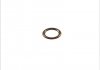 Уплотнительное кольцо, резьбовая пробка 394.290 ELRING