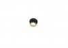 Уплотнительное кольцо, стержень клапана ELRING 010.250 (фото 2)