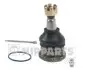 Опора шарова  TOYOTA AYGO HATCHBACK J4862039 NIPPARTS