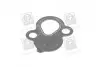 Прокладка клапана ЕГР DAEWOO Lanos PARTS-MALL P1Z-C003 (фото 2)