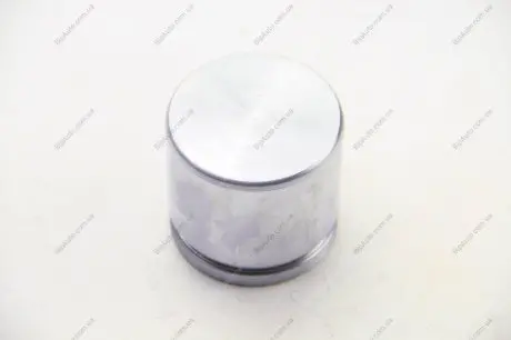 Поршень тормозного суппорта (SEIN) AUTOFREN D0 25385