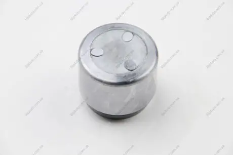 Елементи гальмівного супорта (Поршень) (SEIN) AUTOFREN D0 25337
