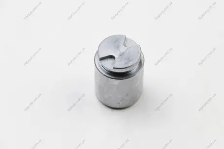Елементи гальмівного супорта (Поршень) (SEIN) AUTOFREN D0 25267