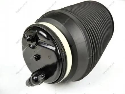 Подушка пневматическая, задняя правая (Toyota) Toyota / Lexus / Daihatsu 4808035011
