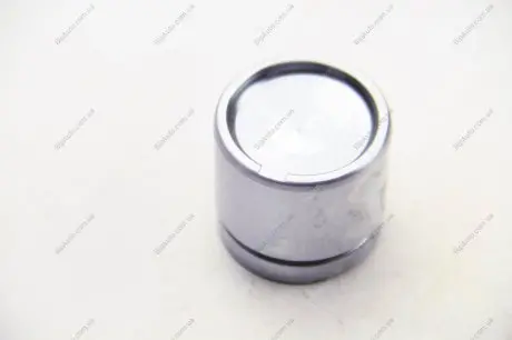 Поршень тормозного суппорта (SEIN) AUTOFREN D0 2571