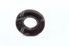 Сальник двигуна REAR 22X45X7 RENAULT F2N/F3N Payen NF847 (фото 3)