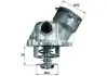 Термостат, охолоджуюча рідина MAHLE TM 29 100 D