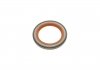 Уплотняющее кольцо, коленчатый вал ELRING 362.730 (фото 2)
