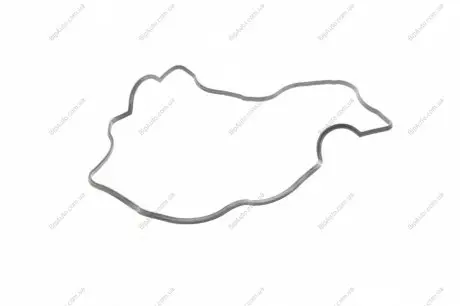 Прокладка клапанної кришки ELRING 539.440