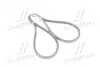 Клиновый ремень 6485MC AVX13 x 1375 6485MC Gates