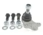 Кульова опора Nipparts J4871003