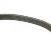Поликлиновой ремень 6PK1600 BOSCH 1 987 946 060 (фото 3)