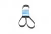 Поликлиновой ремень 6PK1760 1 987 946 037 BOSCH