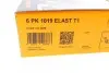 Поліклиновий ремінь 6PK1019 ELAST T1 Contitech 6PK1019 ELAST T1 (фото 13)