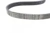 Поліклиновий ремінь 6PK1019 ELAST T1 Contitech 6PK1019 ELAST T1 (фото 5)