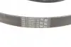 Поліклиновий ремінь 6PK1019 ELAST T1 Contitech 6PK1019 ELAST T1 (фото 6)