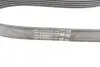 Поліклиновий ремінь 6PK1019 ELAST T1 Contitech 6PK1019 ELAST T1 (фото 10)