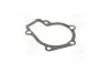 Прокладка помпы HYUNDAI G4GC (пр-во PARTS-MALL) P1H-A003