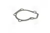 Прокладка помпы HYUNDAI G4GC PARTS-MALL P1H-A003 (фото 3)