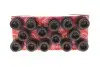 Болти головки блоку VW LT 2.4 i/D/TD 78- ELRING 819.891