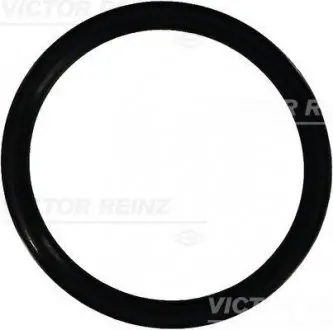 Уплотнительное кольцо VICTOR REINZ 40-76933-10 (фото 1)