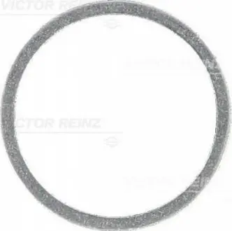 Уплотнительное кольцо VICTOR REINZ 40-71078-00 (фото 1)