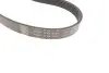 Комплект поліклиновий (ремінь+ролики) SKF VKMA 36055 (фото 3)