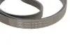 Комплект доріжкових пасків SKF VKMA 36038 (фото 4)