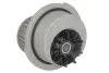 Насос водяний OPEL Ruville 65343 (Вир-во INA) 538 0024 10 538 0024 10