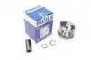 Поршень RENAULT 80,50 F9Q 1,9TD (Mahle) MAHLE / KNECHT 022 09 02 (фото 1)
