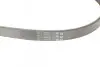 Поликлиновой ремень Contitech 6PK1033 ELAST (фото 3)