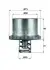 Термостат, охолоджуюча рідина MAHLE THD 2 89 THD 2 89