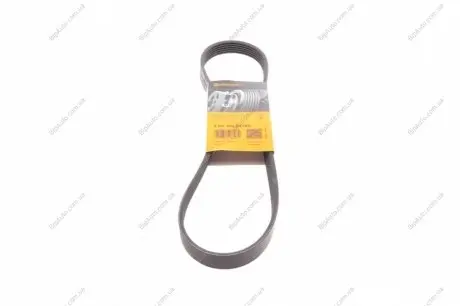 Поликлиновой ремень Contitech 6PK905 EXTRA