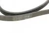 Пас поліклиновий BMW 3 (E46/E90)/5 (E60)/6 (E63)/X CONTINENTAL Contitech 4PK860 ELAST (фото 3)
