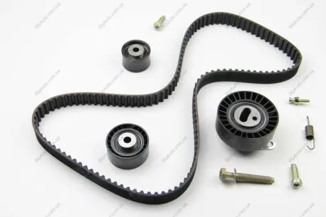 Ремкомплект грм Ford 1 112 530 INA 530 0102 10