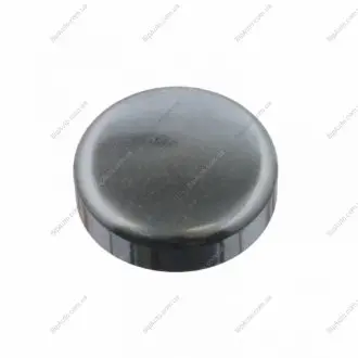 Заглушка блоку циліндрів VW (d=36.6mm) FEBI BILSTEIN 31793