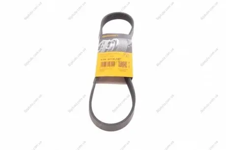 Ремень дорожный Contitech 6PK831ELAST