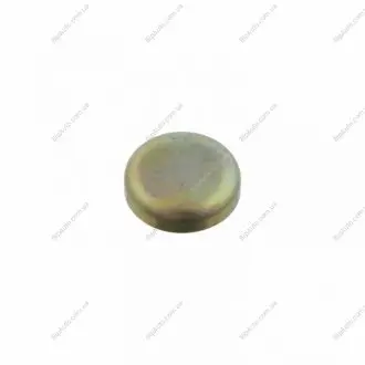 Заглушка блока OPEL d 22mm (FEBI) FEBI BILSTEIN 03199