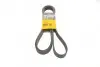 Доріжковий пас CONTITECH 8PK2440