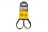 Доріжковий пас CONTITECH 8PK1226