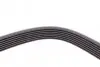 Пас поліклиновий MB E-class (W211) 03-08 CONTINENTAL Contitech 7PK2271 (фото 4)