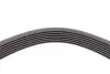 Пас поліклиновий Honda Civic 1.8i 05-/ CR-V 2.0 07 CONTINENTAL Contitech 7PK2061 (фото 4)