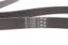 Пас поліклиновий BMW X5 (E70) 4.8i 07-08/Renault M CONTINENTAL Contitech 7PK1666 (фото 2)
