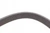 Пас поліклиновий BMW X5 (E70) 4.8i 07-08/Renault M CONTINENTAL Contitech 7PK1666 (фото 4)