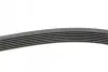 Пас поліклиновий Toyota Avensis 2.0 D-4D 08-18 CONTINENTAL Contitech 7PK1370 (фото 2)